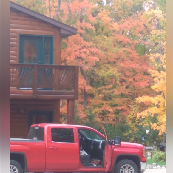 🌲 Realtree HOODIE Sweatshirt PINK FLAG  SZ M VNPLC - Picture 5 of 16